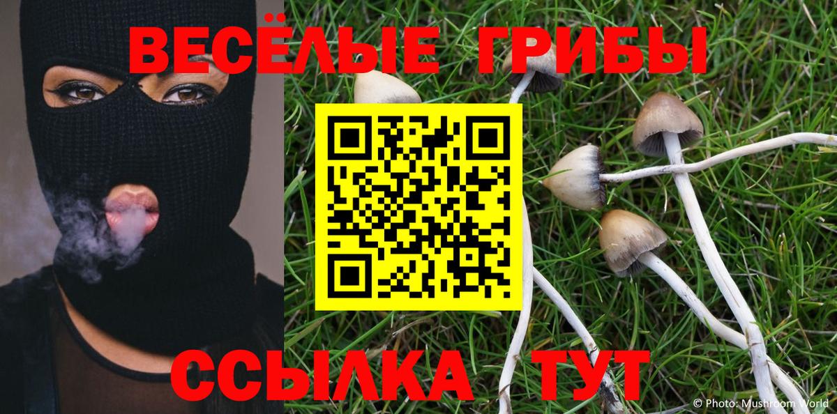 Псилоцибиновые грибы ЛСД Губаха