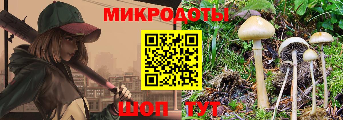 Галлюциногенные грибы Magic Shrooms  Вход с VPN  Губаха 